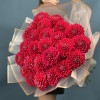 25 пышных красных георгин